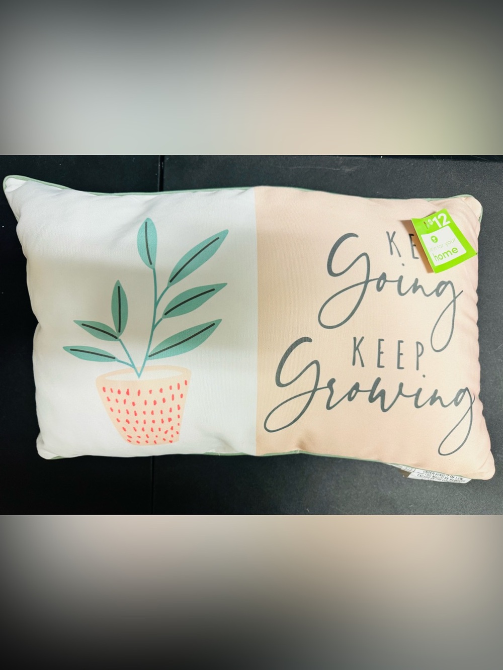NWT  “Keep Going Keep Growing" | 12 in x 20in Toss Pillow Outdoor